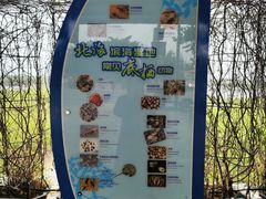 -北海金海湾红树林生态旅游区