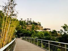 -板樟山森林公园