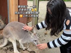 -可伦宾野生动物保护区
