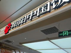 -阳阳中国饭(龙湖大兴天街)