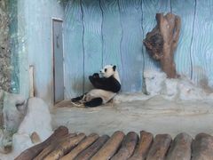 -海南热带野生动植物园