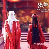 演员：杨颖、井柏然 简介