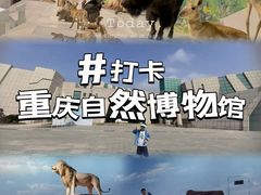 -重庆自然博物馆(新馆)