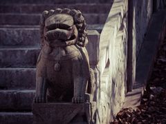 -望溪公园