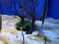 -多彩贵州城极地海洋世界