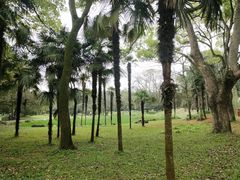 -杭州植物园