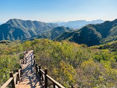 -大岭沟猕猴桃谷风景区