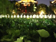 -济南大明湖景区