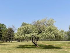 -承德避暑山庄景区
