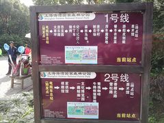 -上海海湾国家森林公园