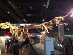 iphone_upload_pic-墨尔本博物馆(Melbourne Museum)