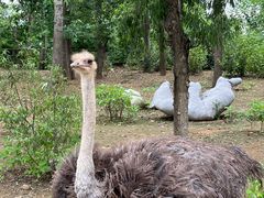 -大连森林动物园