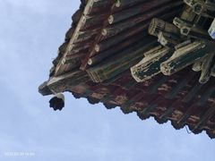 -洛阳白马寺