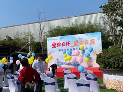 -汪说喵讲宠物乐园宠物酒店(红星美凯龙店)