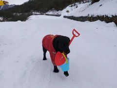 -太子岭滑雪场