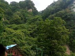 -王顺山国家森林公园