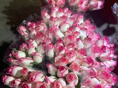 -循礼门鲜花花市(武汉循礼门店)