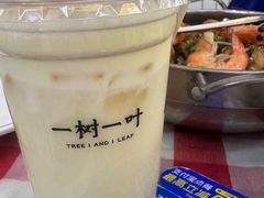 -一树一叶·福建茶档(石鼓路店)