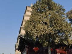 -大慈恩寺(大雁塔)