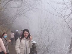 -塔云山