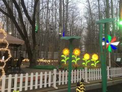 -枫花园汽车电影院(朝阳公园店)