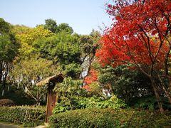-圩墩遗址公园
