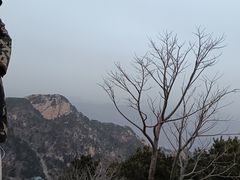 -泰山风景名胜区