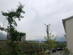 -仙岛湖旅游风景区