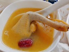 -百利鸽王(紫薇路店)