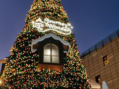 -闽和南(深圳万象城店)