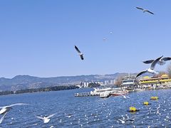 -海埂大坝