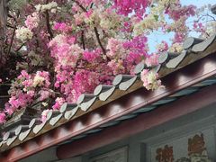 -深圳国际园林花卉博览园