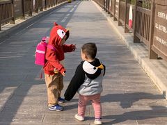 -北京麋鹿生态实验中心