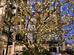 -M Stand(BFC外滩金融中心店)