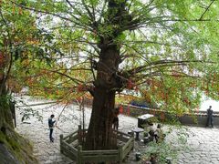 -大慈岩风景区