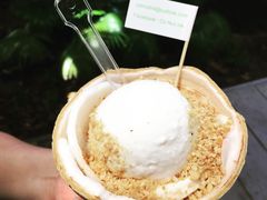 -Co+Nut+Ink(圣淘沙店)