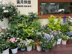 -满月蛋糕定制·商务茶歇·diy课程(万达广场店)