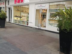 -蒲公英(五里店)