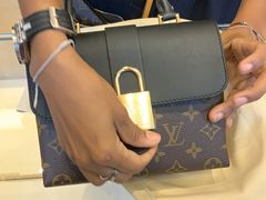 实物图-路易·威登(香榭丽舍大道店)