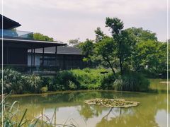 -木守西溪溪隐餐厅