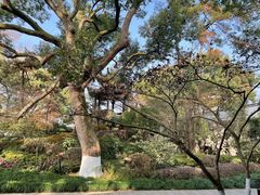 -浙江西子宾馆·瑶园咖啡厅