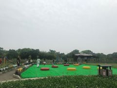 -中国扬子鳄村