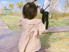 -南通鲜花小镇