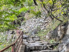 -北京鹫峰国家森林公园