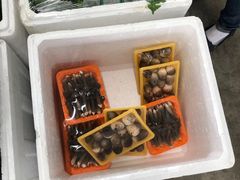 -东方鼎信农副产品交易中心