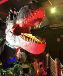 -恐龙探索乐园(磁器口店)