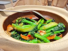白灼田园菜心-蔡澜点心·粤菜(新街口IFCX店)
