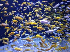 -成都浩海立方海洋公园