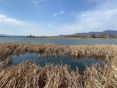 -野鸭湖国家湿地公园