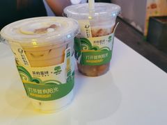 -茶救星球·蔬果茶(东城万达店)